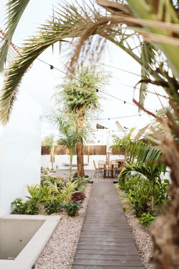 Dreamsea Surf House Fuerteventura Vandrehjem Corralejo Eksteriør billede