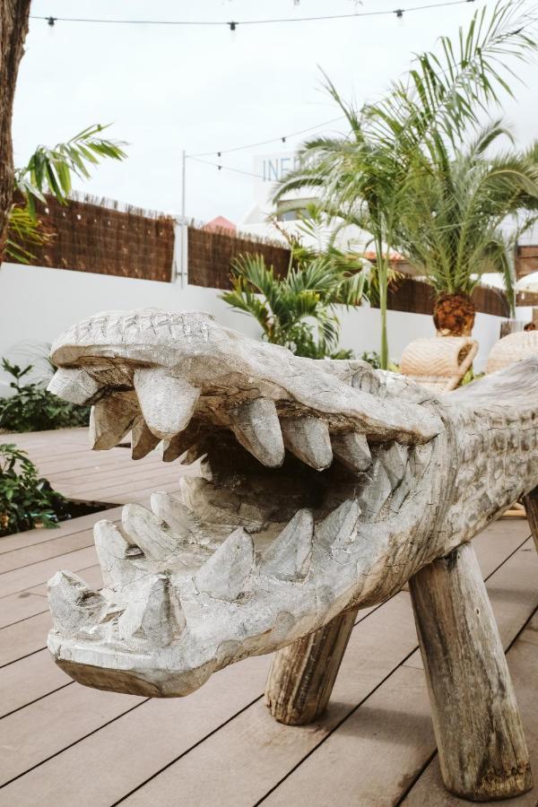 Dreamsea Surf House Fuerteventura Vandrehjem Corralejo Eksteriør billede